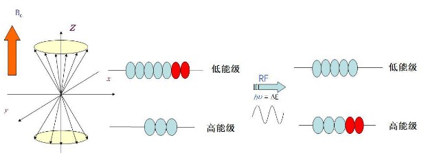 簾子布附膠量標(biāo)準(zhǔn)方法與低場(chǎng)核磁法介紹