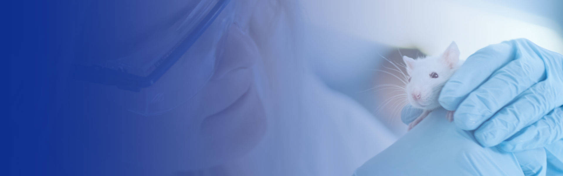 新聞動(dòng)態(tài)